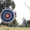 archery-target